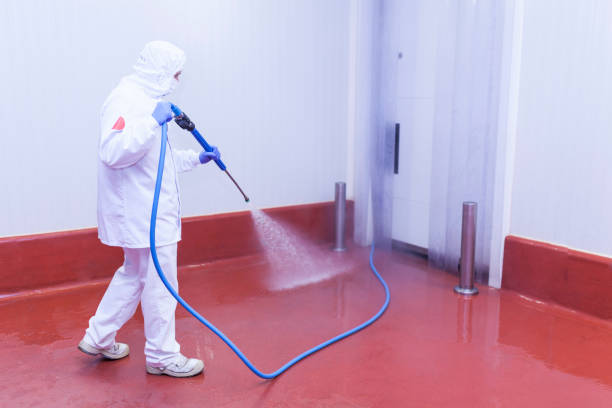 Best House Exterior Washing  in Copperas Cove, TX
